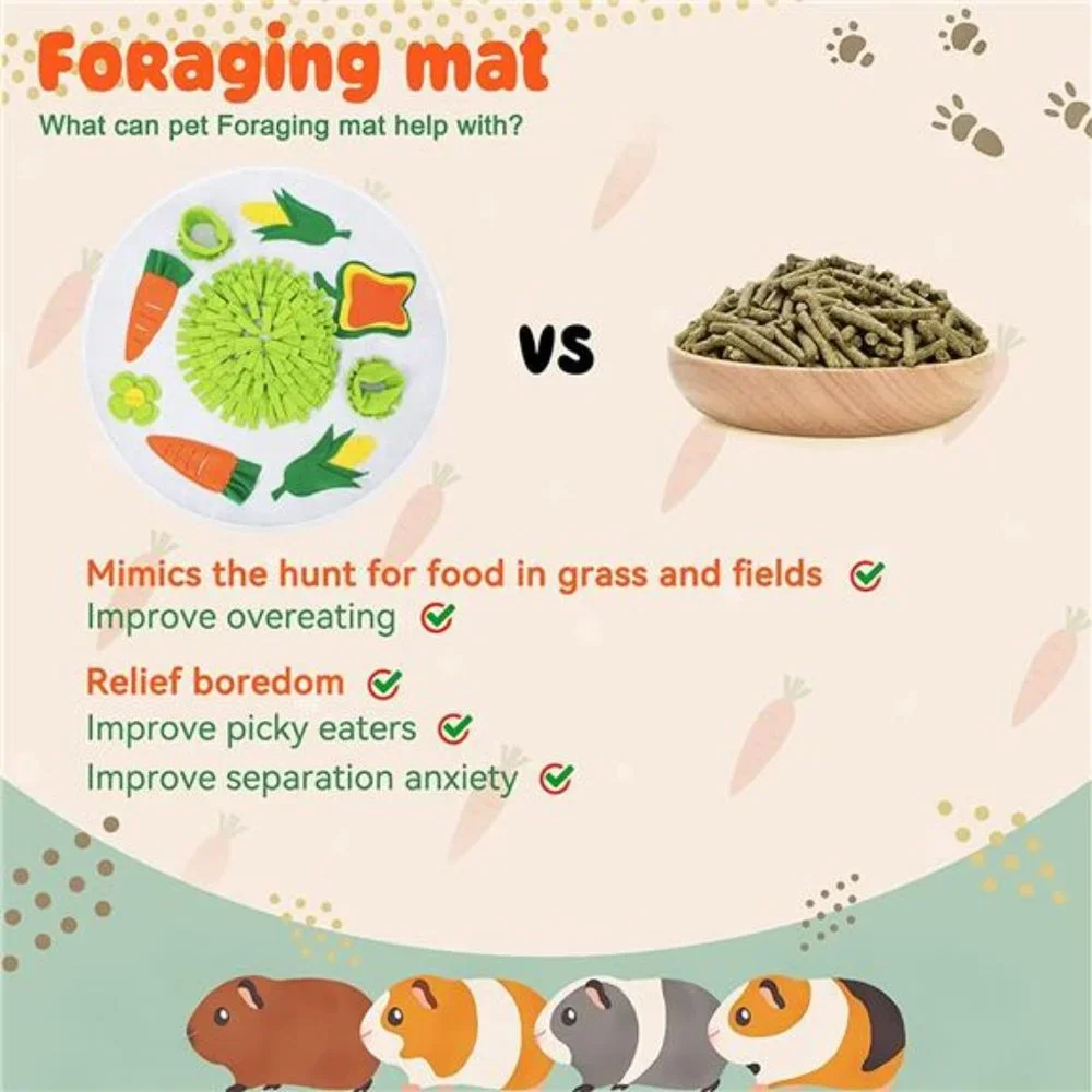 Guinea Pig Foraging Mat 24